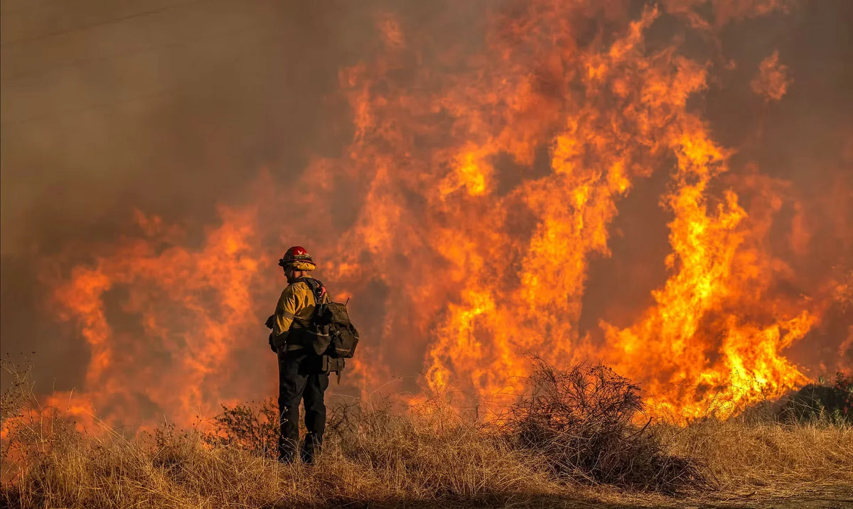 Protecting Your Lungs and Health During the LA Fires